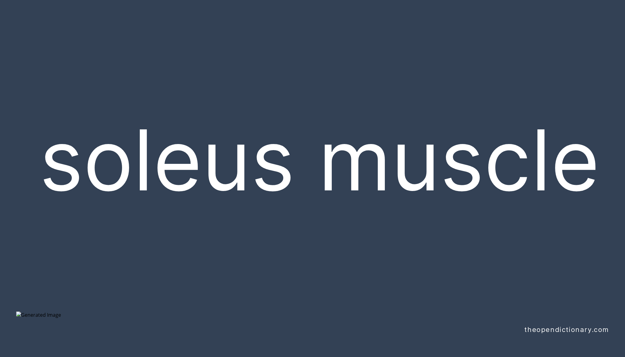 Soleus muscle Meaning of Soleus muscle Definition of Soleus muscle Example of Soleus muscle